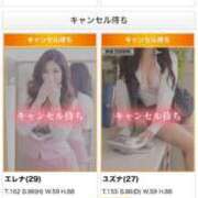 ヒメ日記 2025/07/02 13:36 投稿 エレナ OLの品格 クラブアッシュ