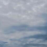 ヒメ日記 2025/02/11 06:30 投稿 あみ★ レースクィーン