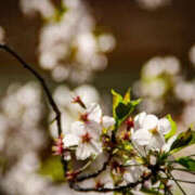 ヒメ日記 2026/03/19 14:41 投稿 あみ★ レースクィーン