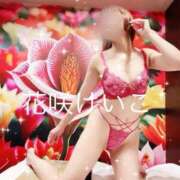 ヒメ日記 2025/10/25 22:28 投稿 花咲けいこ 月の真珠-新宿-