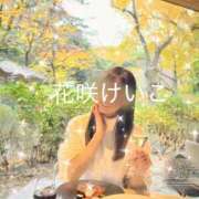 ヒメ日記 2025/11/27 10:38 投稿 花咲けいこ 月の真珠-新宿-