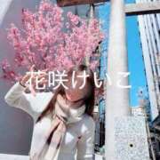 花咲けいこ 河津桜🌸🌸🌸 月の真珠-新宿-