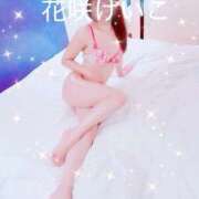 ヒメ日記 2026/03/31 21:10 投稿 花咲けいこ 月の真珠-新宿-