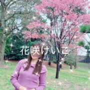 ヒメ日記 2026/04/10 13:51 投稿 花咲けいこ 月の真珠-新宿-