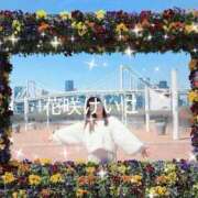 ヒメ日記 2026/05/12 12:28 投稿 花咲けいこ 月の真珠-新宿-