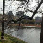 ヒメ日記 2025/03/28 23:12 投稿 白雪【しらゆき】 丸妻 西船橋店