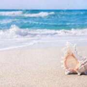 ヒメ日記 2025/05/15 07:15 投稿 白雪【しらゆき】 丸妻 西船橋店