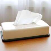 ヒメ日記 2025/03/15 13:24 投稿 かのん 桜フェアリーテイル