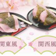 ヒメ日記 2025/03/23 13:26 投稿 かのん 桜フェアリーテイル