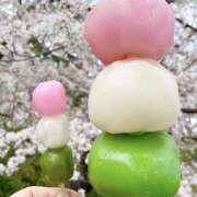 ヒメ日記 2025/04/06 14:49 投稿 かのん 桜フェアリーテイル