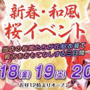 ヒメ日記 2025/04/16 12:22 投稿 かのん 桜フェアリーテイル