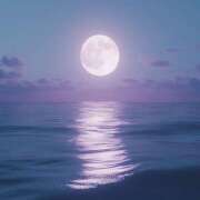 ヒメ日記 2025/04/30 12:14 投稿 かのん 桜フェアリーテイル