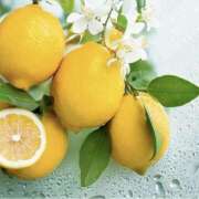 ヒメ日記 2025/05/05 12:50 投稿 かのん 桜フェアリーテイル