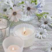 ヒメ日記 2025/05/28 18:12 投稿 かのん 桜フェアリーテイル