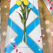 ヒメ日記 2025/06/14 12:05 投稿 かのん 桜フェアリーテイル