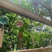 ヒメ日記 2025/07/21 12:12 投稿 かのん 桜フェアリーテイル