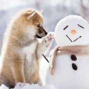 ヒメ日記 2025/07/28 12:57 投稿 かのん 桜フェアリーテイル