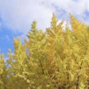 かのん すっかりと。。。 桜フェアリーテイル