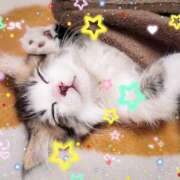 かのん お礼💌  ̖́-‬と猫の日🐈‍⬛🐈🐾 桜フェアリーテイル