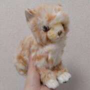 ヒメ日記 2025/02/05 16:09 投稿 けい 虹色メロンパイ 横浜店