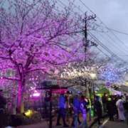 ヒメ日記 2025/04/06 19:48 投稿 けい 虹色メロンパイ 横浜店