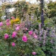 ヒメ日記 2025/05/12 12:05 投稿 けい 虹色メロンパイ 横浜店