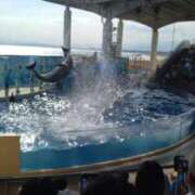 ヒメ日記 2025/05/28 18:58 投稿 けい 虹色メロンパイ 横浜店