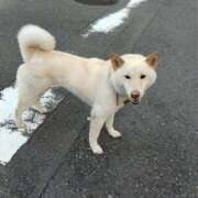 ヒメ日記 2025/06/19 17:32 投稿 けい 虹色メロンパイ 横浜店