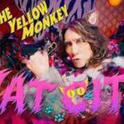 ヒメ日記 2025/07/09 23:43 投稿 けい 虹色メロンパイ 横浜店