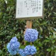 ヒメ日記 2025/08/19 08:47 投稿 けい 虹色メロンパイ 横浜店