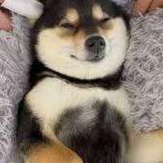 ヒメ日記 2025/08/31 15:34 投稿 けい 虹色メロンパイ 横浜店