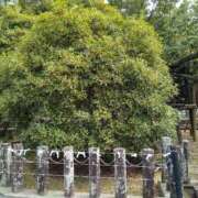 ヒメ日記 2025/10/03 23:31 投稿 けい 虹色メロンパイ 横浜店