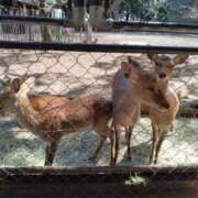 ヒメ日記 2025/10/05 20:11 投稿 けい 虹色メロンパイ 横浜店