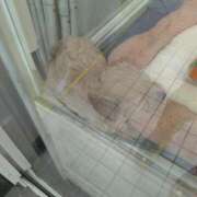 ヒメ日記 2025/10/14 14:35 投稿 けい 虹色メロンパイ 横浜店