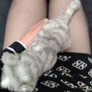 ヒメ日記 2025/11/29 11:56 投稿 けい 虹色メロンパイ 横浜店