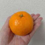 ヒメ日記 2025/12/03 15:19 投稿 けい 虹色メロンパイ 横浜店