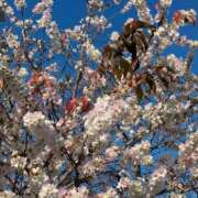 ヒメ日記 2025/12/18 22:43 投稿 けい 虹色メロンパイ 横浜店