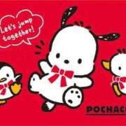 ヒメ日記 2026/03/08 16:08 投稿 けい 虹色メロンパイ 横浜店