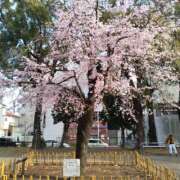 ヒメ日記 2026/03/26 01:11 投稿 けい 虹色メロンパイ 横浜店