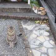 ヒメ日記 2026/04/11 18:18 投稿 けい 虹色メロンパイ 横浜店