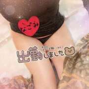 ヒメ日記 2025/05/30 20:14 投稿 Nagomi 濃密バブルSPA VIP