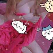 ヒメ日記 2024/12/21 16:16 投稿 ホシナ バニーコレクション新潟店