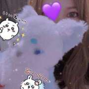 ヒメ日記 2025/02/11 18:02 投稿 ホシナ バニーコレクション新潟店