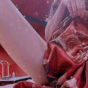 ヒメ日記 2025/04/19 10:02 投稿 ホシナ バニーコレクション新潟店