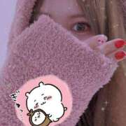 ヒメ日記 2025/05/31 15:30 投稿 ホシナ バニーコレクション新潟店