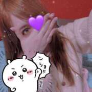 ヒメ日記 2025/06/05 19:02 投稿 ホシナ バニーコレクション新潟店