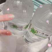 ヒメ日記 2025/10/15 12:04 投稿 ホシナ バニーコレクション新潟店