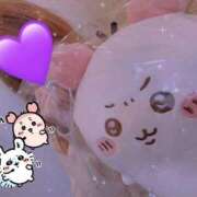 ホシナ ぐっばい バニーコレクション新潟店