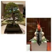 ヒメ日記 2025/01/08 22:21 投稿 きこ 奥鉄オクテツ東京店（デリヘル市場）