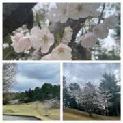 ヒメ日記 2025/04/04 13:04 投稿 きこ 奥鉄オクテツ東京店（デリヘル市場）